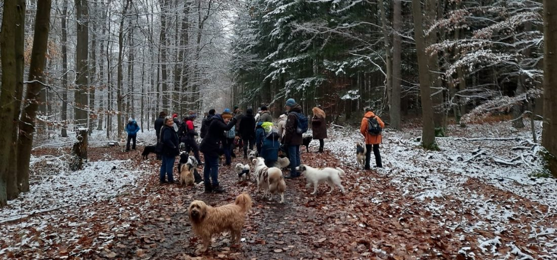 Wanderung 